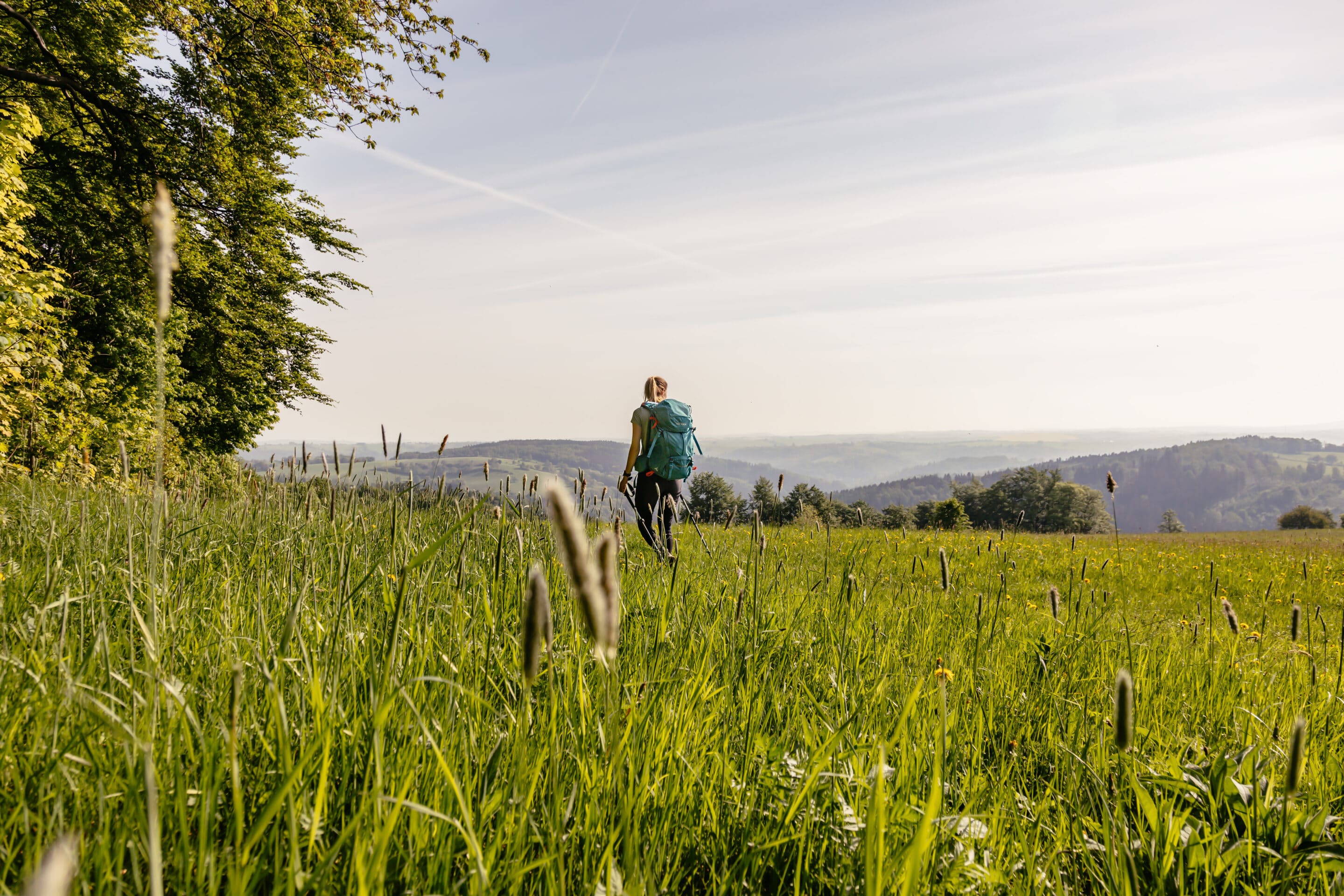 Unterwegs auf dem Erzgebirgskamm