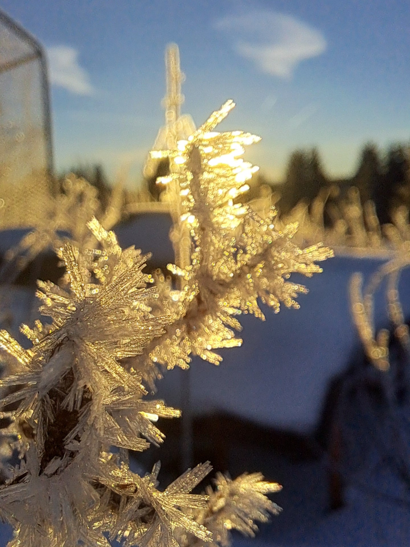 Winter in Weitersglashütte