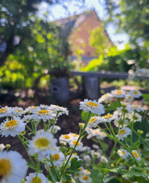 Pension Talblick Garten